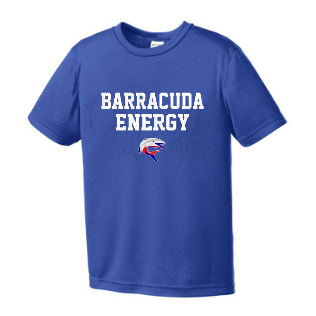 Barracuda Energy Performance